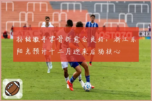 孙铭徽手掌骨折愈合良好，浙江东阳光预计十二月迎来后场核心